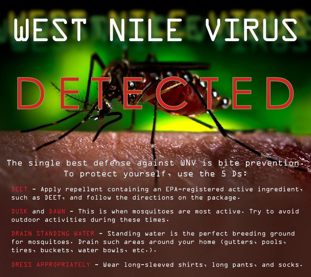 West Nile Virus Graphic