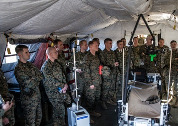 Expeditionary Warfare School Participates in MLG Day