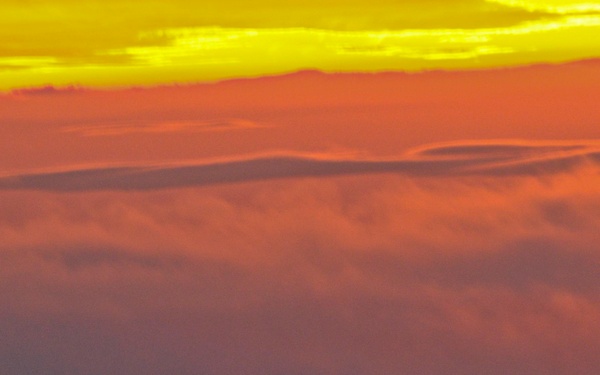 Bloody Hundredth supports Tartan Flag