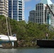 Crews lift a sailing vessel out of red mangroves at Peacock Park