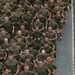 Marines with the 2nd Marine Aircraft Wing Participate in the 242nd Marine Corps Birthday Run