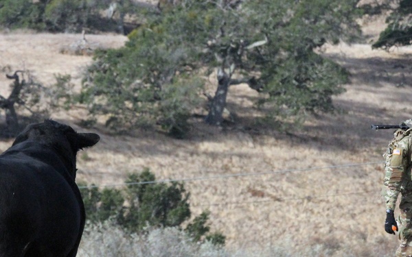 Challenge complete to find the Cal Guard’s elite