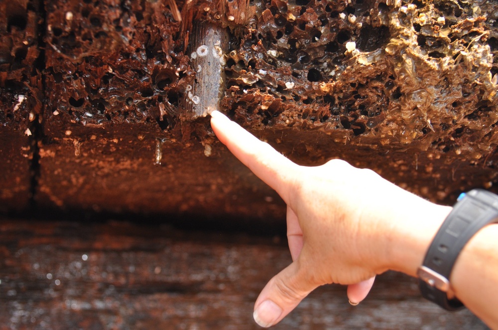 Civil War ironclad recovered from Savannah River