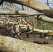 South Carolina National Guard Responds to Hurricane Maria