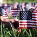 Ohio State Students Plant Flags For Veterans