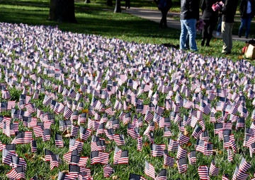 Ohio State Students Plant Flags For Veterans