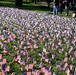 Ohio State Students Plant Flags For Veterans