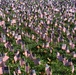 Ohio State Students Plant Flags For Veterans