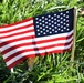 Ohio State Students Plant Flags For Veterans