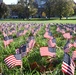 Ohio State Students Plant Flags For Veterans