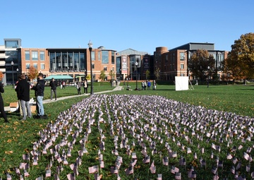 Ohio State Students Plant Flags For Veterans