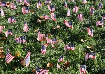 Ohio State Students Plant Flags For Veterans