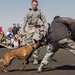 Planes, aviation legends, highlight 70th anniversary