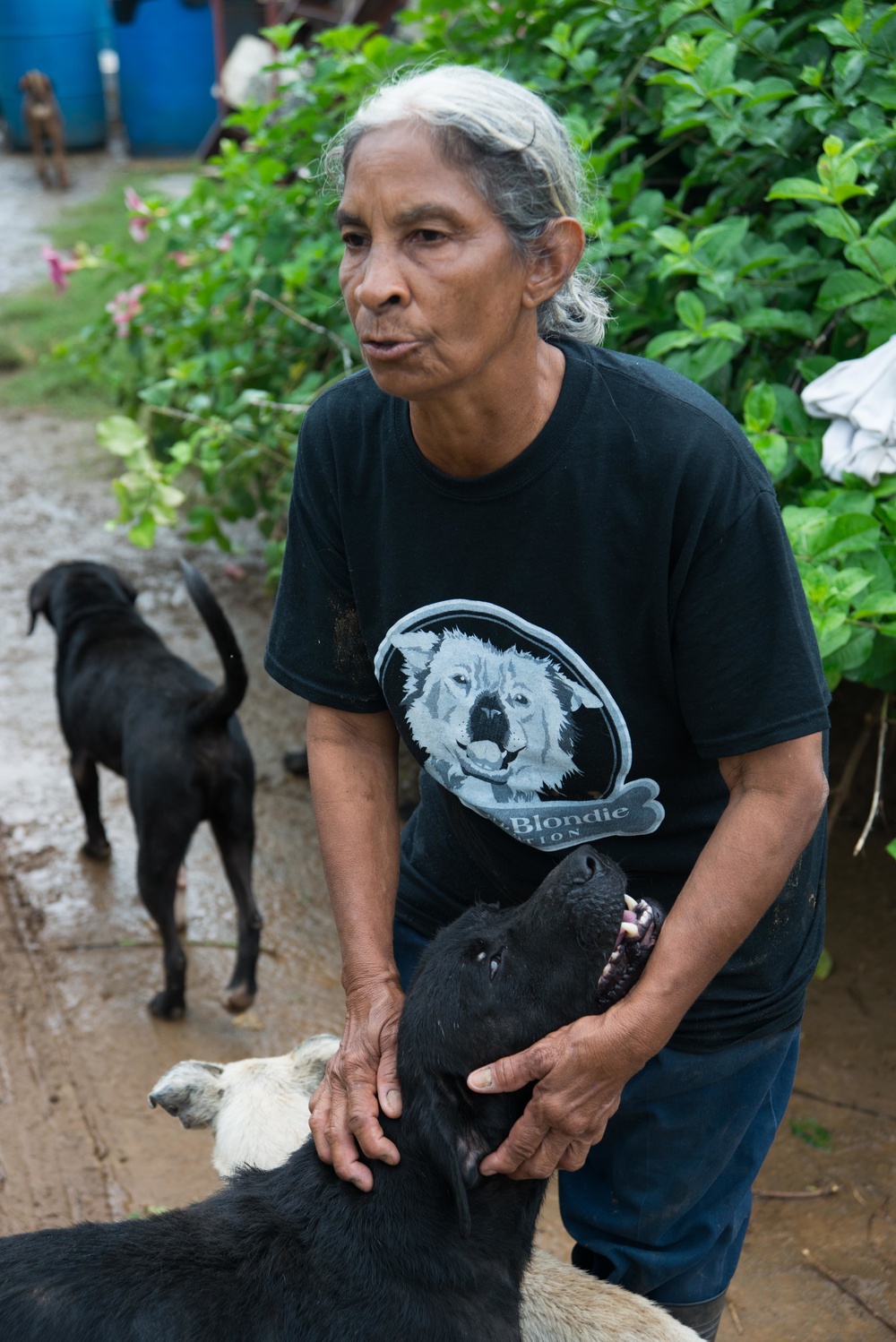 33 Acres of Love: A Veterans Mission to Save Lives in Puerto Rico