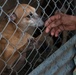 33 Acres of Love: A Veterans Mission to Save Lives in Puerto Rico