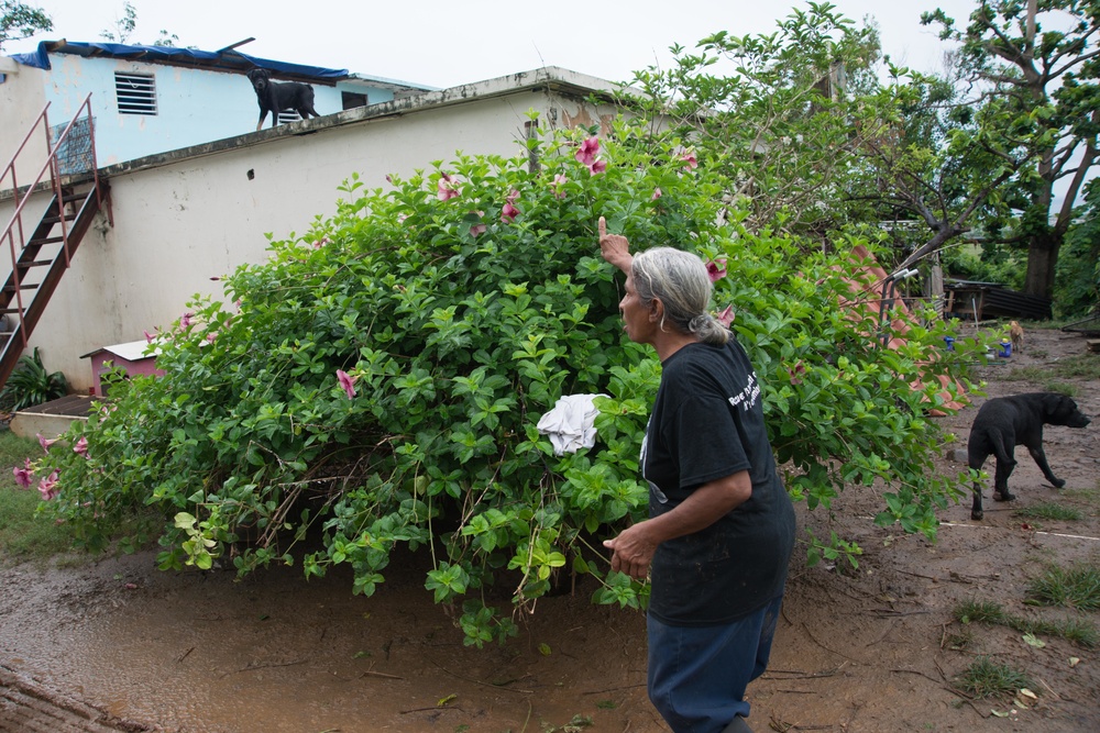 33 Acres of Love: A Veterans Mission to Save Lives in Puerto Rico