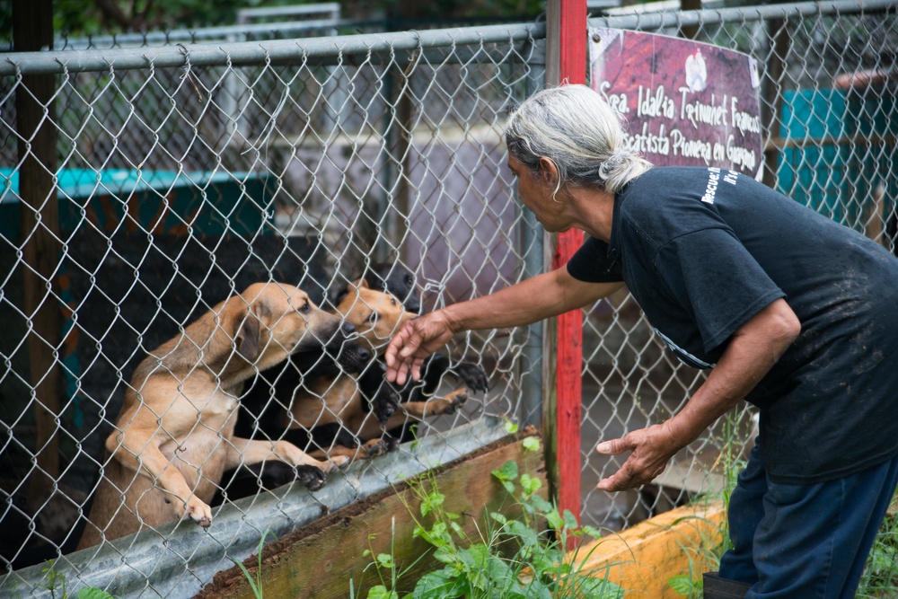 33 Acres of Love: A Veterans Mission to Save Lives in Puerto Rico
