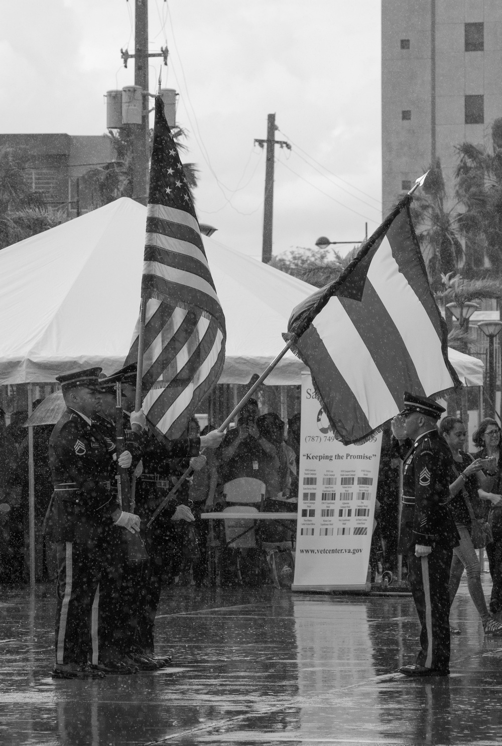 Flags Salute During Veterans Day Ceremony