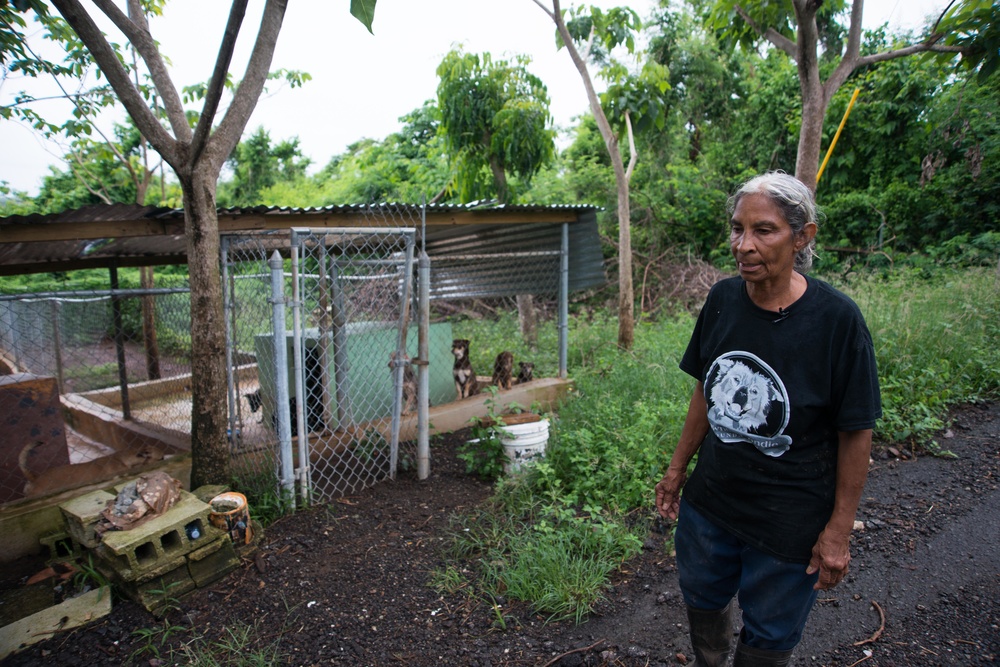 33 Acres of Love: A Veterans Mission to Save Lives in Puerto Ricos