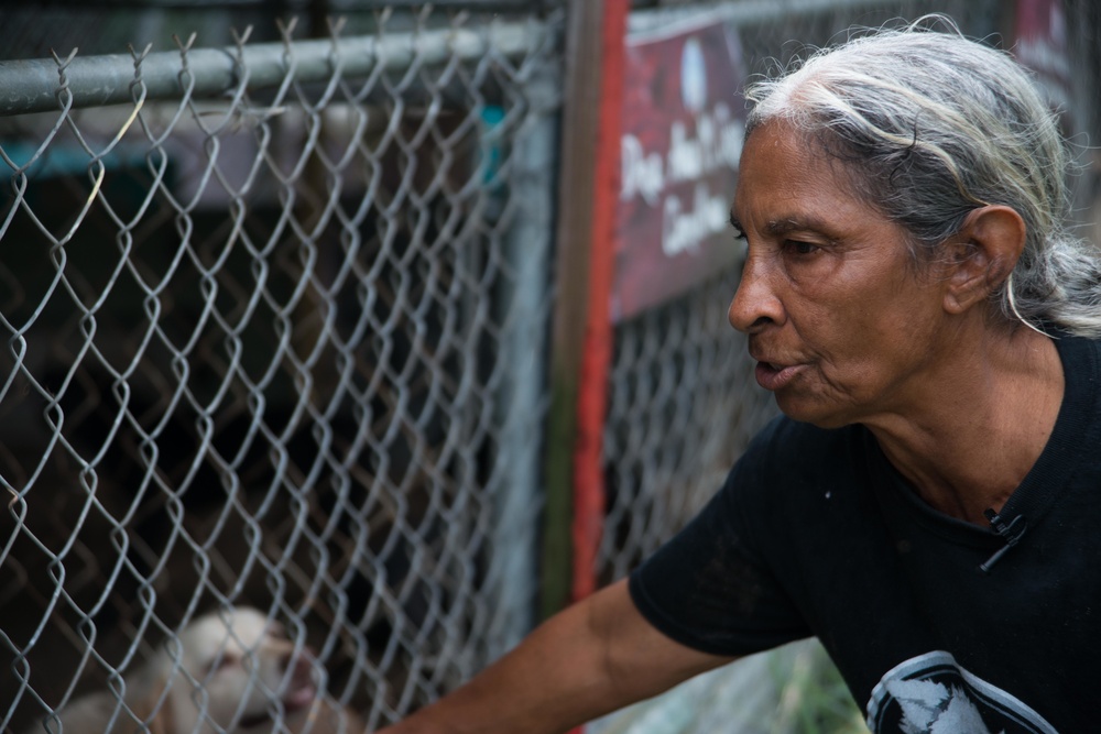 33 Acres of Love: A Veterans Mission to Save Lives in Puerto Rico