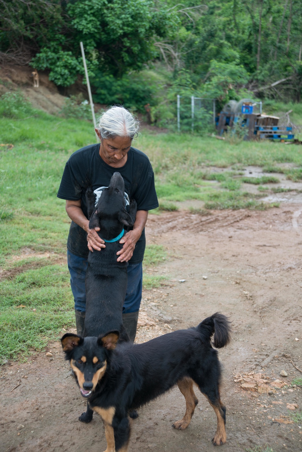 33 Acres of Love: A Veterans Mission to Save Lives in Puerto Rico