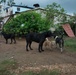 33 Acres of Love: A Veterans Mission to Save Lives in Puerto Rico