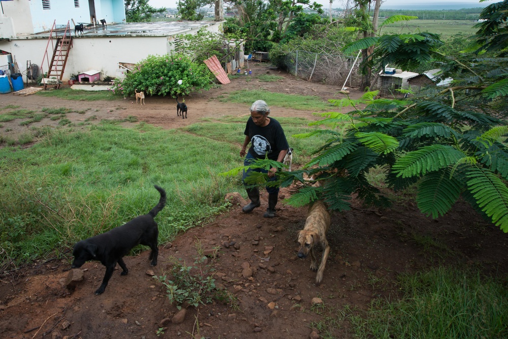 33 Acres of Love: A Veterans Mission to Save Lives in Puerto Rico