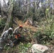 South Carolina National Guard Responds to Hurricane Maria