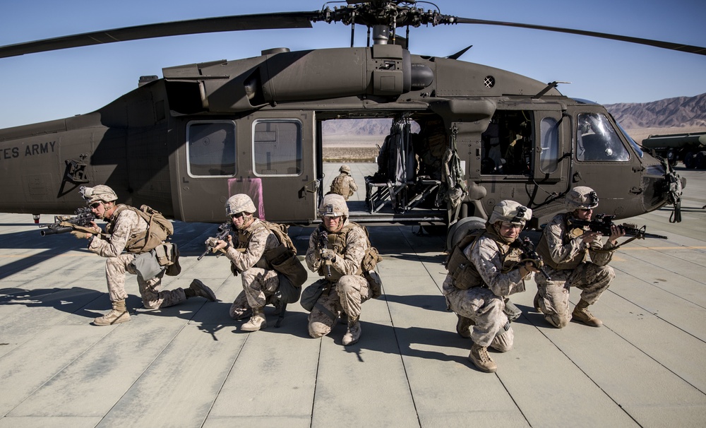 dvids-images-itx-1-18-uh-60-black-hawk-image-7-of-15