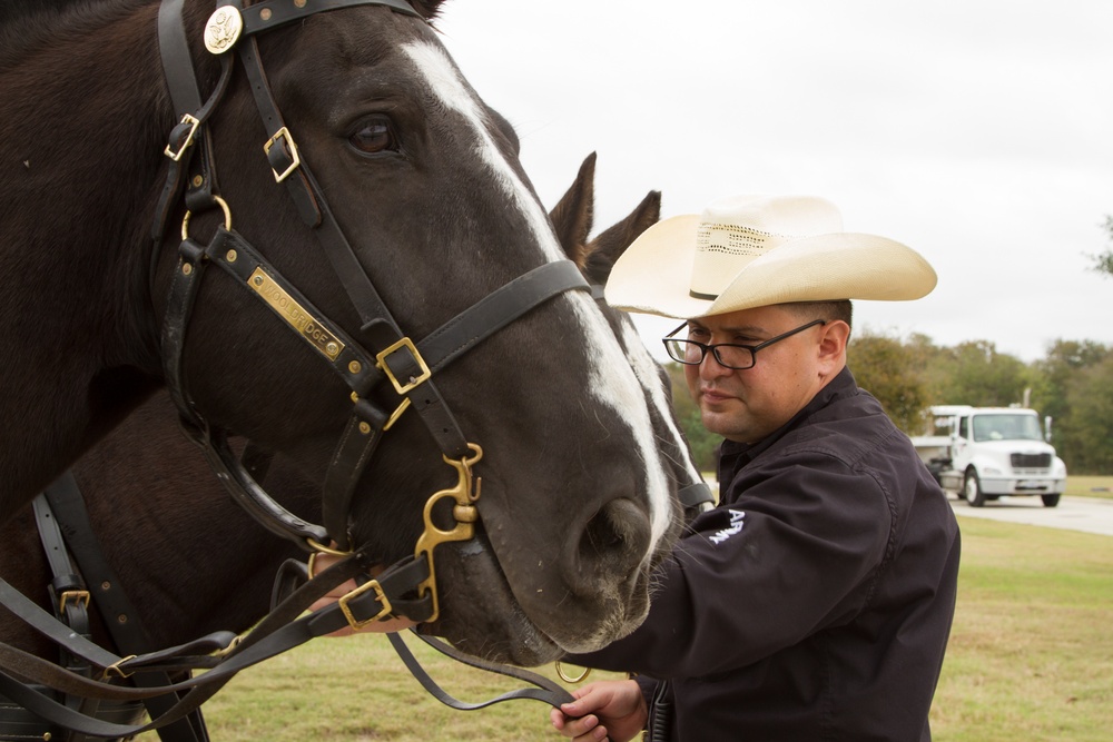 Caisson Funeral Honors for Gen. (Ret.) Cavazos