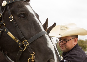 Caisson Funeral Honors for Gen. (Ret.) Cavazos