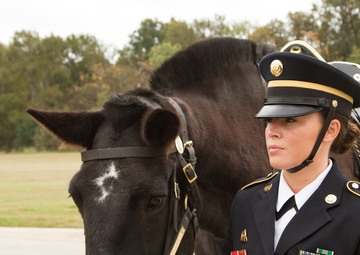 Caisson Funeral Honors for Gen. (Ret.) Cavazos