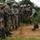 U.S. Marines teach UPDF Soldiers how to detect IEDs
