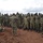 U.S. Marines teach UPDF Soldiers how to detect IEDs