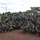 U.S. Marines teach UPDF Soldiers how to detect IEDs