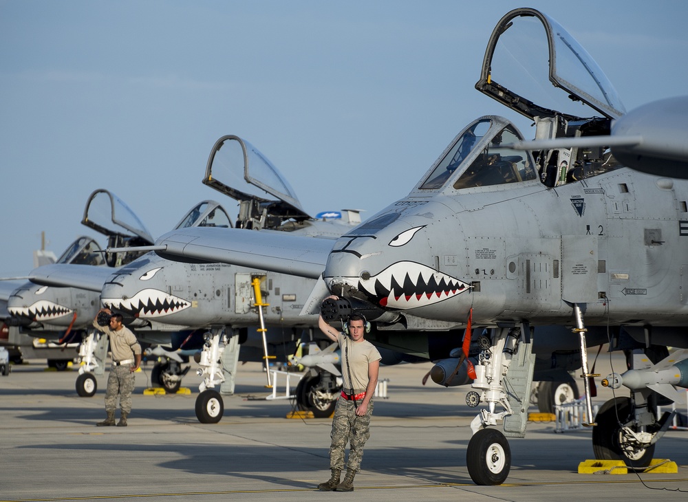 Tiger Sharks attack at Combat Hammer
