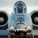 Tiger Sharks attack at Combat Hammer