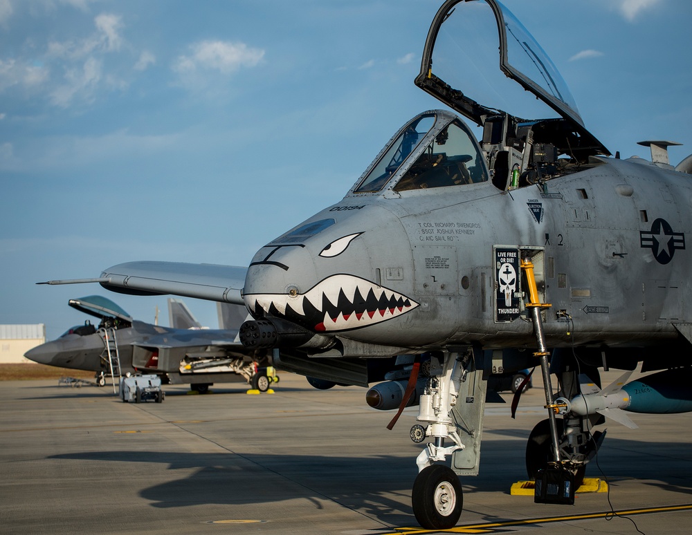 Tiger Sharks attack at Combat Hammer