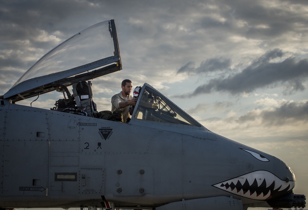 Tiger Sharks attack at Combat Hammer
