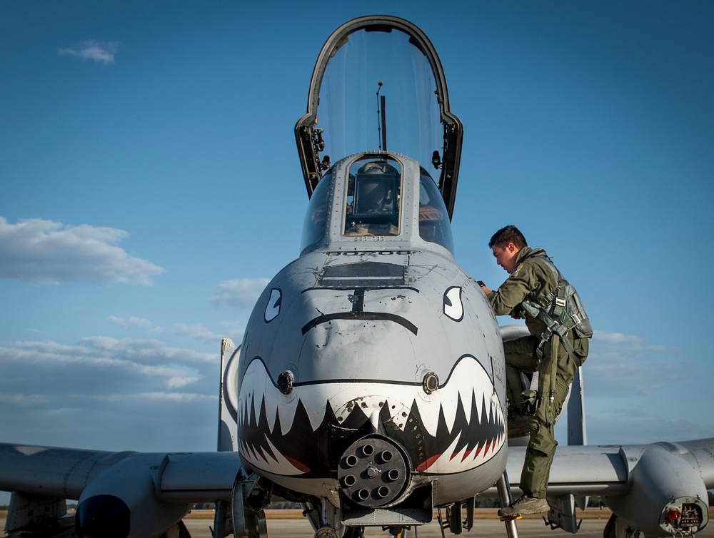 Tiger Sharks attack at Combat Hammer