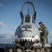 Tiger Sharks attack at Combat Hammer