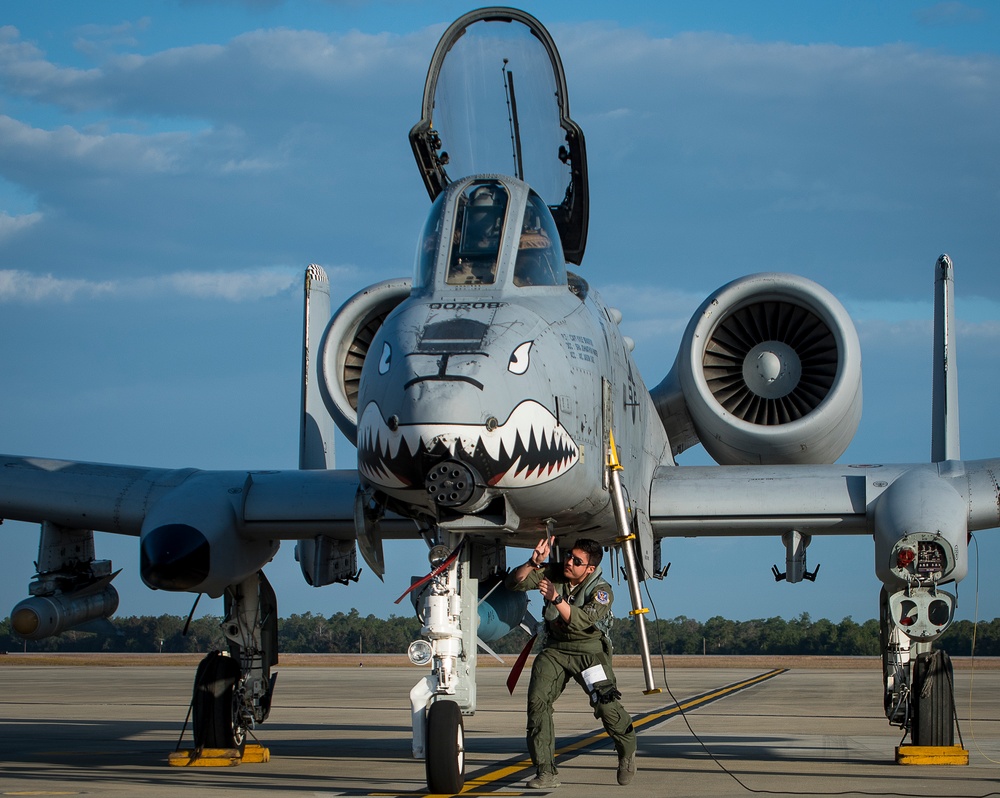 DVIDS - Images - Tiger Sharks attack at Combat Hammer [Image 9 of 19]