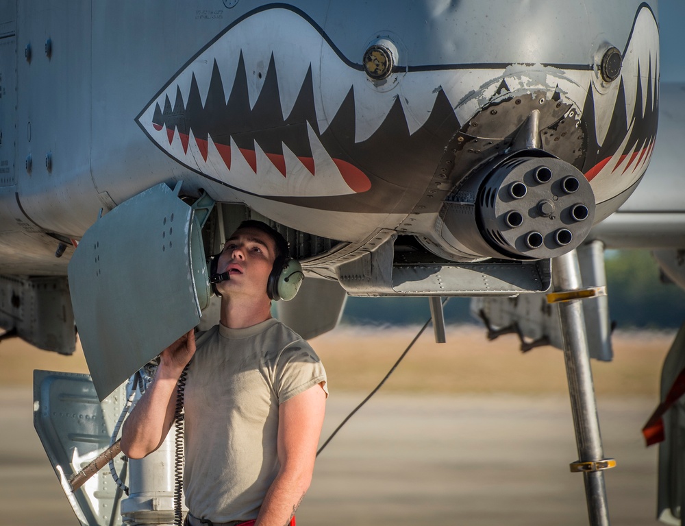 Tiger Sharks attack at Combat Hammer