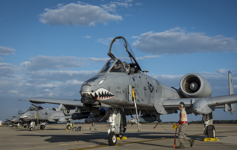 Tiger Sharks attack at Combat Hammer