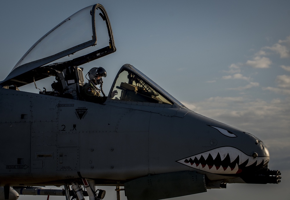 Tiger Sharks attack at Combat Hammer