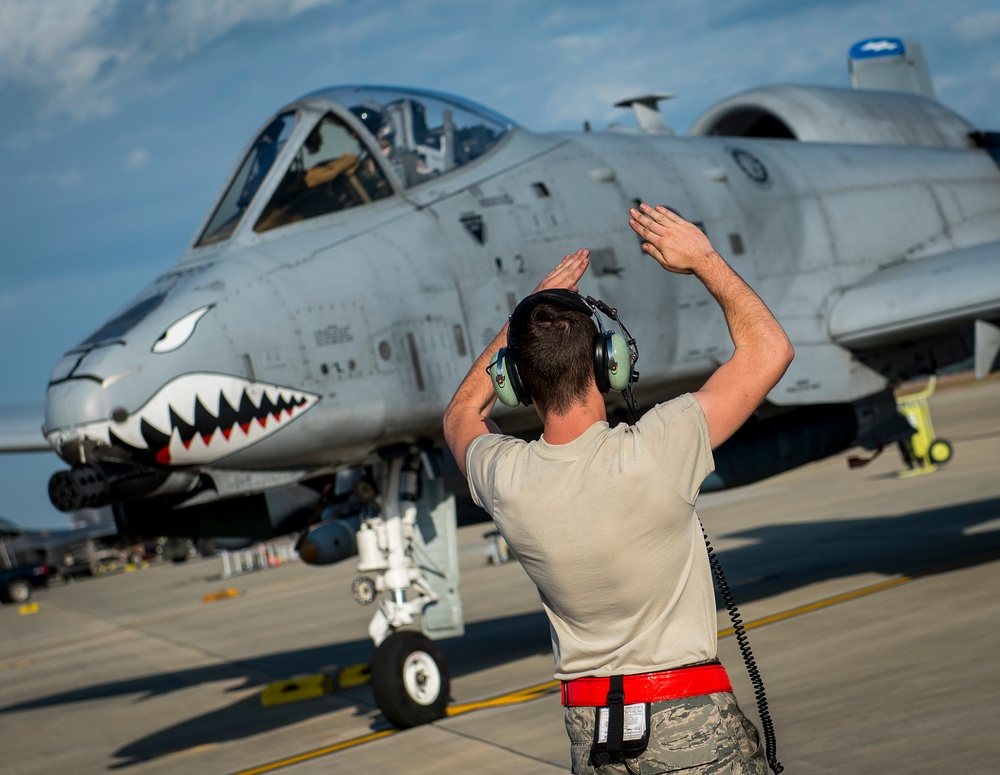 Tiger Sharks attack at Combat Hammer