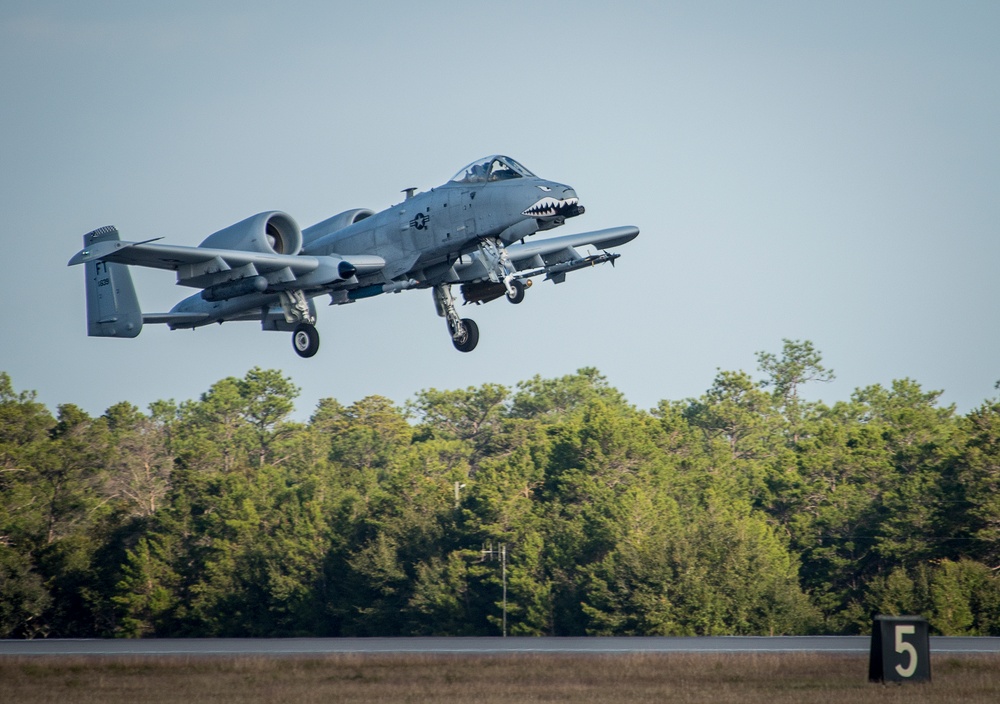 Tiger Sharks attack at Combat Hammer