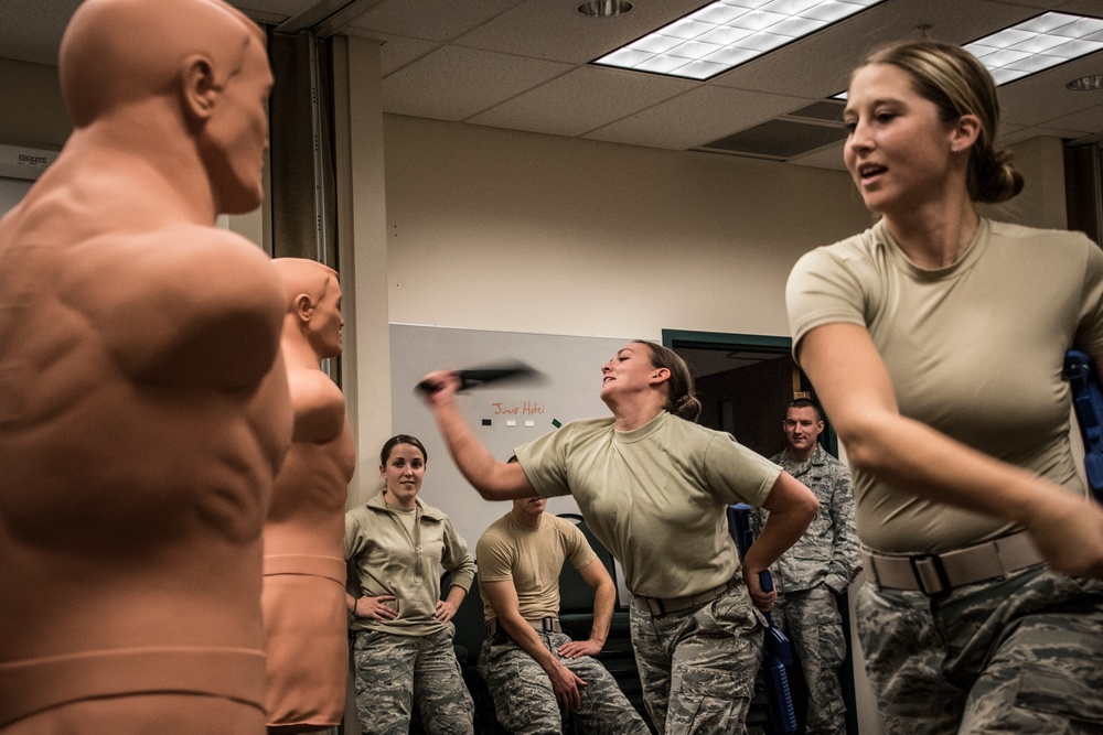 Security Forces Training