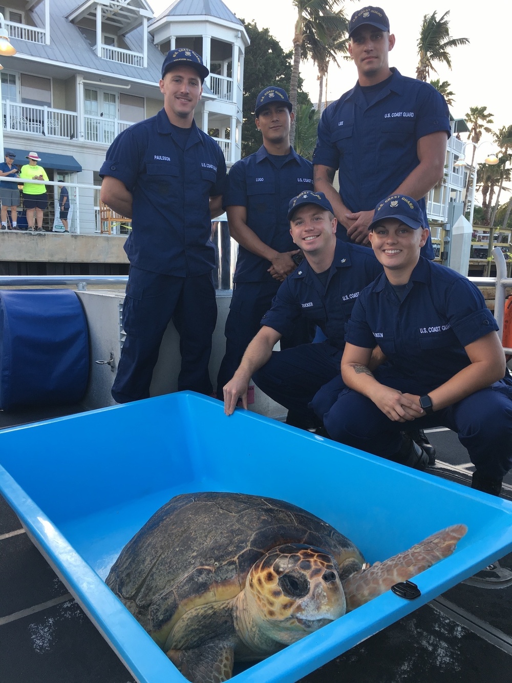 Coast Guard, Turtle Hospital crews release 150-pound Loggerhead Sea Turtle near Key West