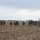 U.S. and Serbia perform airborne insertion exercise